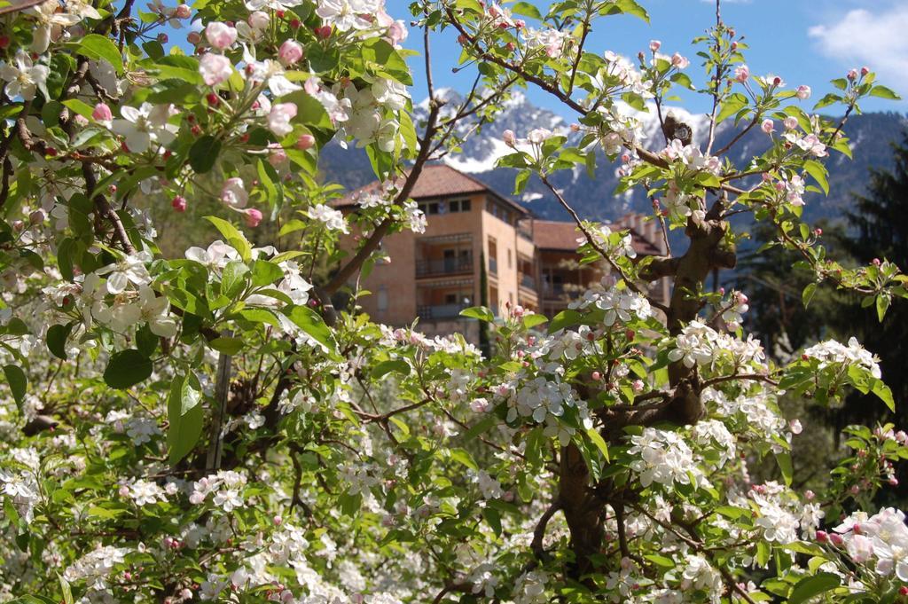 Appartementhaus Am Waalweg Riffian Exterior foto